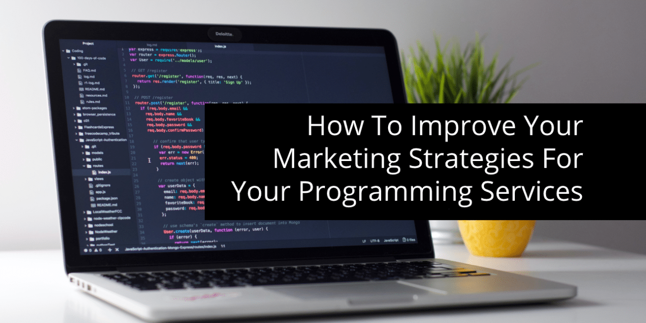 How To Improve Your Marketing Strategies For Your Programming Services